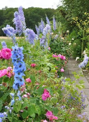 borderlangsweideengroentetuin