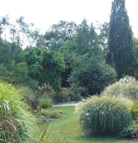 arboretum het leen siergrassen