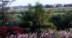 polderlandschapborder