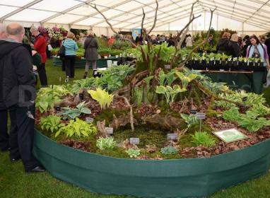 RHS Show Cardiff